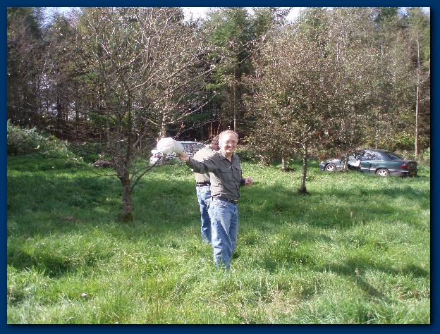 600x449 pixels (213K)